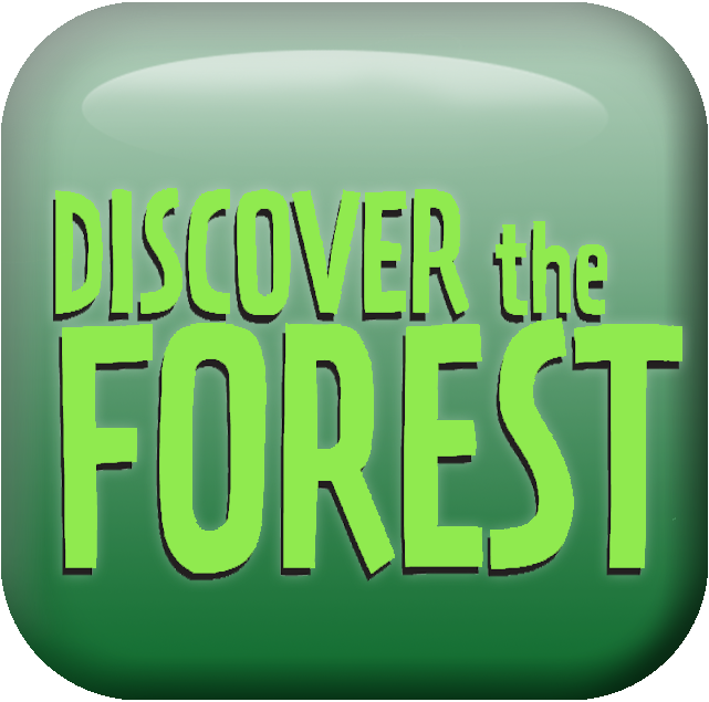 A square graphic that reads discover the forest