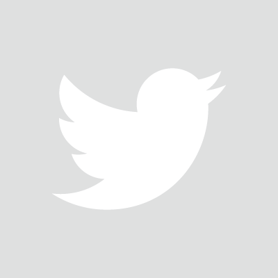 Twitter Logo