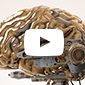 Thumbnail of Build a Brain YouTube video
