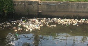 Plastic bottles floating in a river.