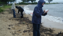 Shoreline Monitoring.