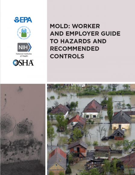 Cover of mold worker employer guide hazards recommended controls guide