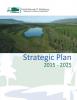 Preview image of NWB-LCC-Strategic-Plan-V1.pdf