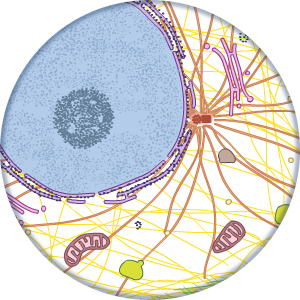 The Cell: An Image Library icon.