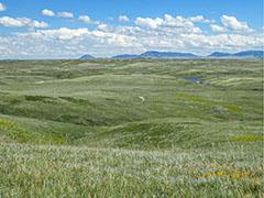 Judith Mountain Landscape