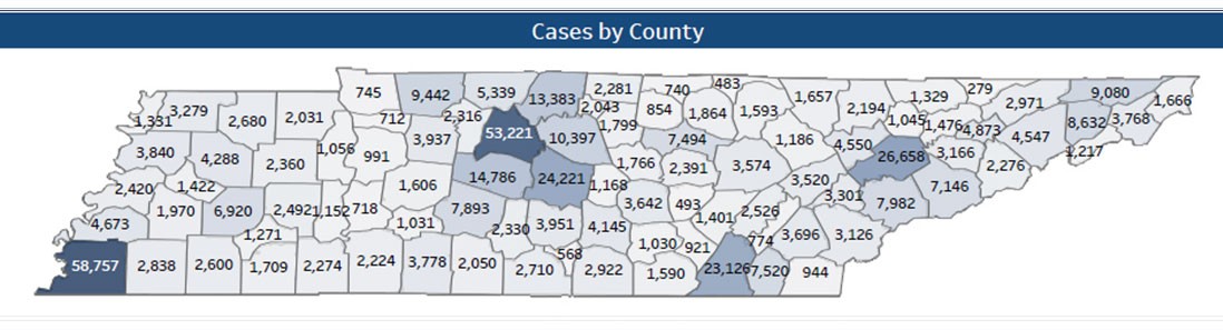 COVID-19 Cases by County