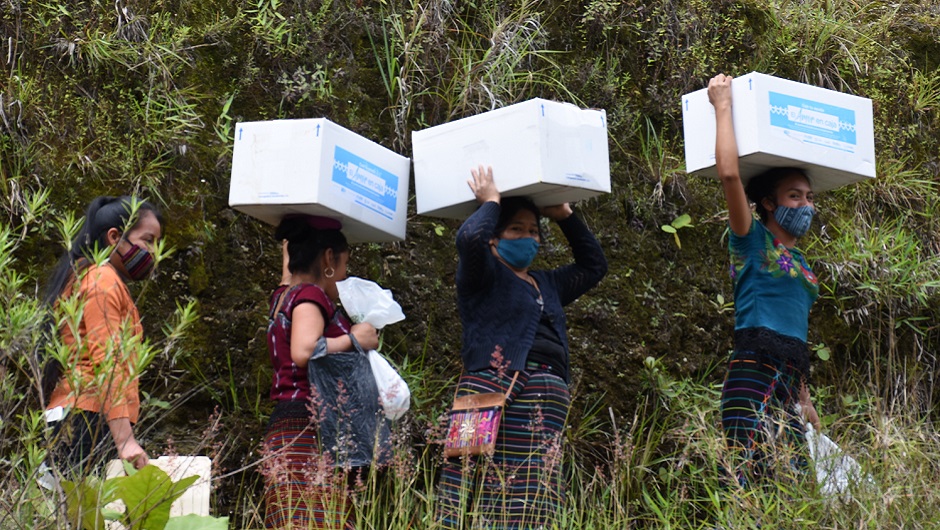 Four young Guatemalan women wearing masks carry boxes on a road lined with thick vegetation.