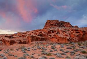 Gold Butte National Monument