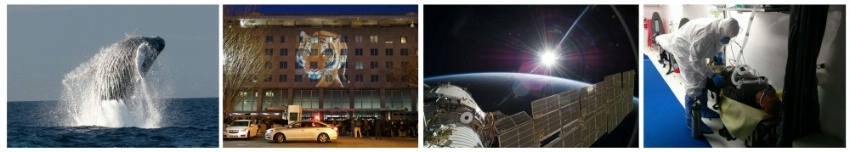 Date: 2017 Description: L to R: Humpback whale breaches in Hawaiian Islands Humpback Whale National Marine Sanctuary, NOAA Image, Tiger projected onto Harry S. Truman building during Wildlife Spotlight, State Dept. Image. The sun greets the International Space Station, NASA Image. During Tranquil Surge training exercise, medical staff attend to a patient in a Containerized Bio-Containment System unit, State Dept Image  © Multiple Sources