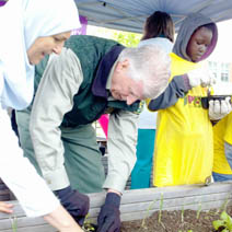 A photo of chief Tom Tidwell and a volunteer gardening