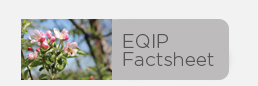 Ad - EQIP Factsheet