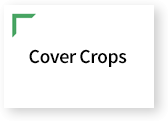 Cover Crops Button