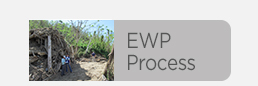 Image of EWP Process Button