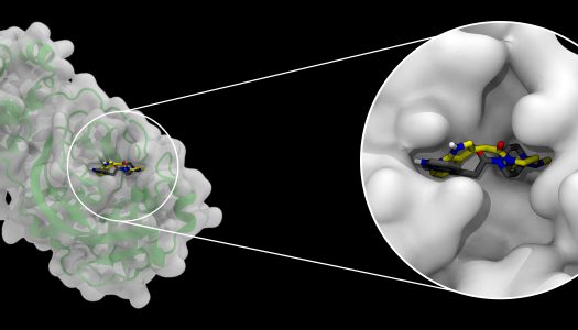 Multi-Institutional Team Earns Gordon Bell Special Prize Finalist Nomination for Rapid COVID-19 Molecular Docking Simulations