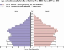 Age and Sex Structure by Core Based Statistical Area