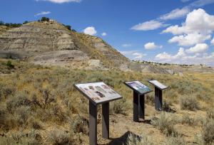 A hill at Big Cedar Ridge