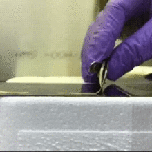 Handing bending experimental material