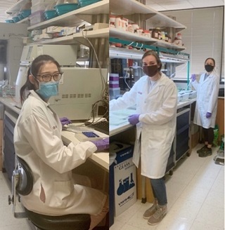 Trainees Meichen Wang, Sara Hearon Wang, and Haley Moyer