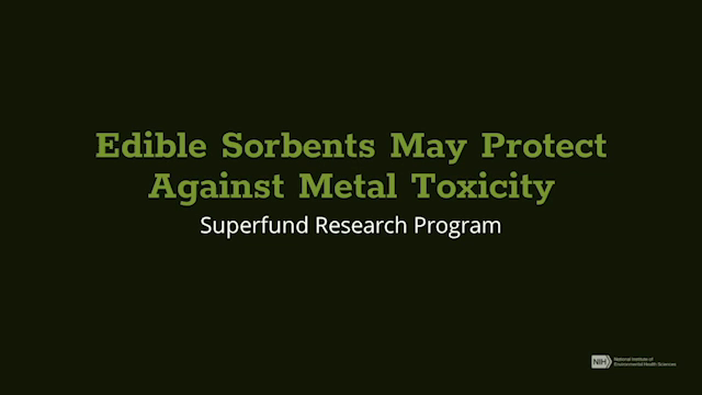 Edible Sorbents May Protect Against Metal Toxicity