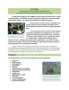 Preview image of fws-sw-sa-gulf-coast-prairie-lcc-fact-sheet-focal-species-associated-habitats-new.pdf