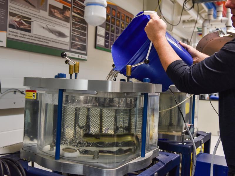 Aquatic Research Lab