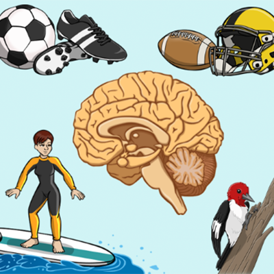 Bibliotech REBOUND: Beating Concussions Icon.
