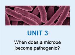 Four learning module units. Unit 3: When does a microbe become pathogenic?
