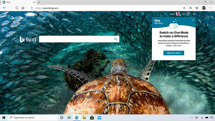 Microsoft Edge browser window showing Bing search engine with a photo of an underwater turtle.