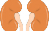 kidney-diseases