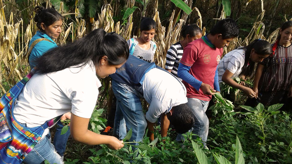 Jóvenes guatemaltecos participan en una actividad de Utz Che.