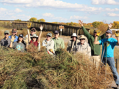 Friends Of Bosque Del Apache National Wildlife Refuge New Mexico
