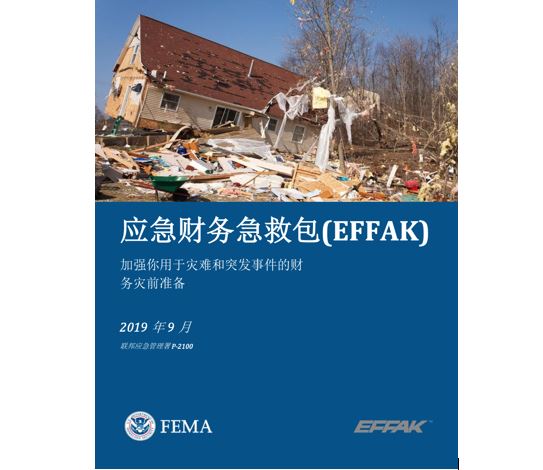 Cover page for 应急财务急救包: Chinese (Simplified) – Emergency Financial First Aid Kit (EFFAK)