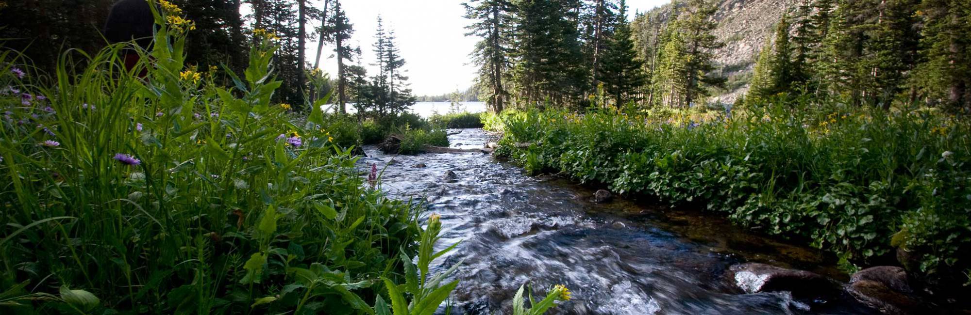 Limnology CIRES Boulder