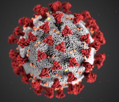 Close up of the coronavirus (COVID-19) strain.