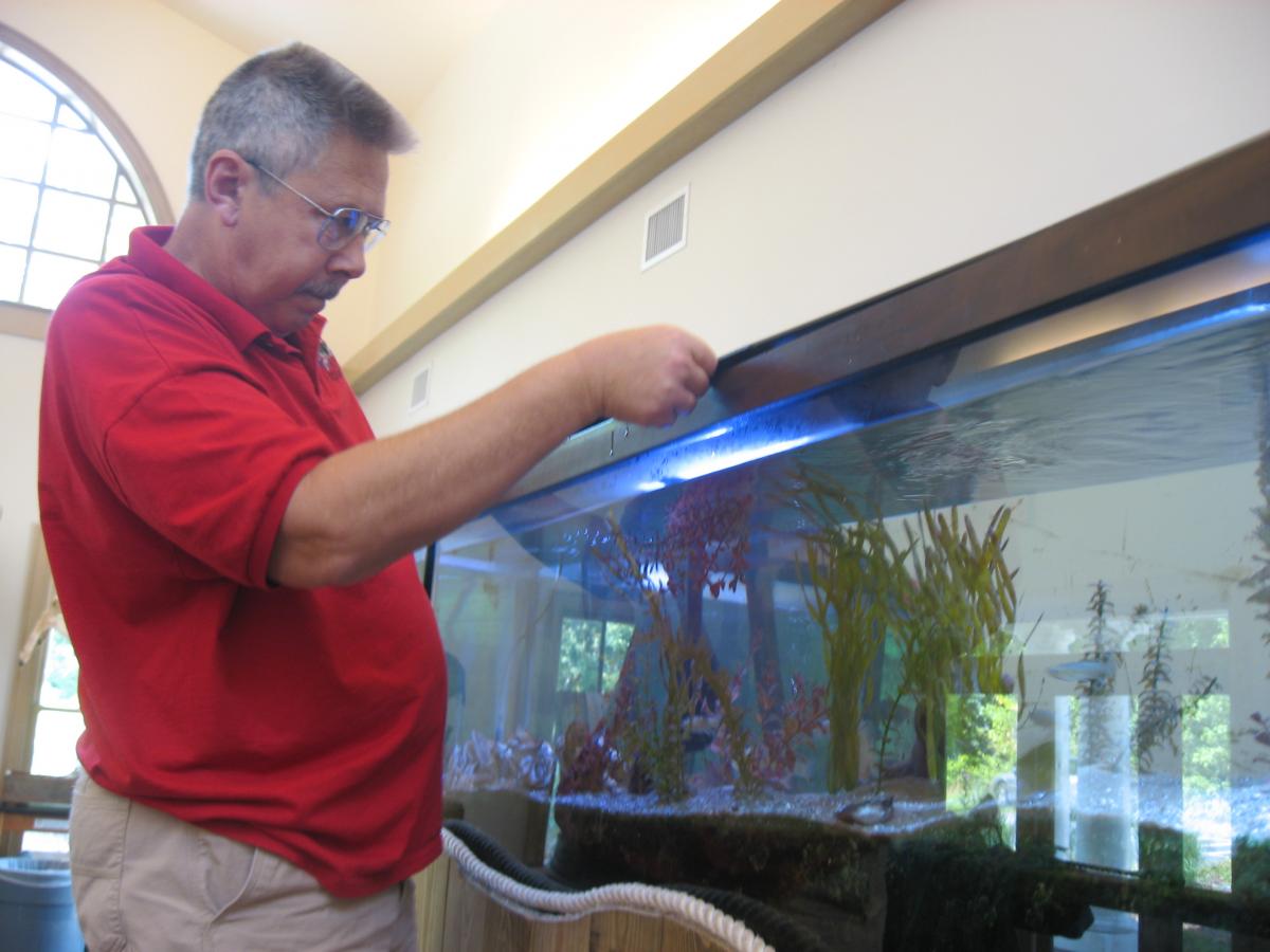 SERC education volunteer caring for aquaria