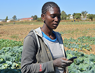 A woman reads a message on mobile phone in rural Zambia.