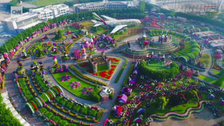 exp Dubai Miracle Garden_00002001.png