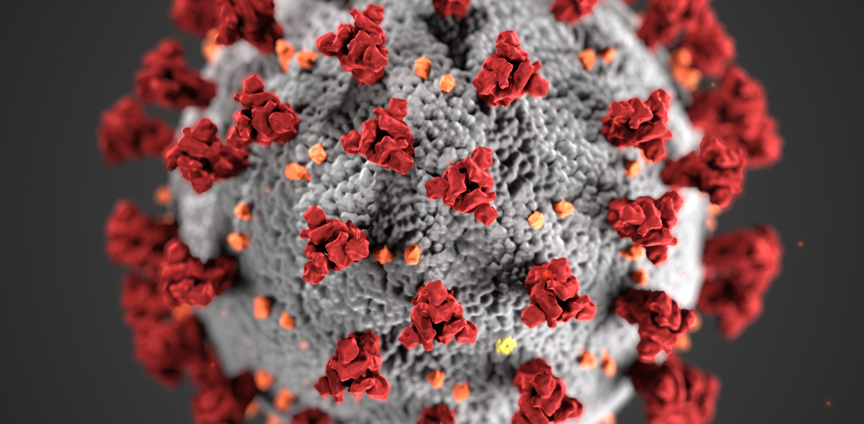 Coronavirus