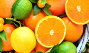 United States Opens New Ports to South African Citrus Exports