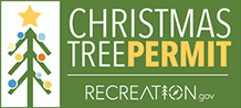 Christmas Tree Permits with Recreation.gov