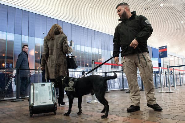 A dog trained to check for explosives, and his T.S.A. handler, performed a demonstration at La Guardia Airport in New York last month.