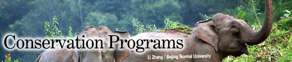 Conservation Programs banner. Asian Elephant by Li Zhang / Beijing Normal University