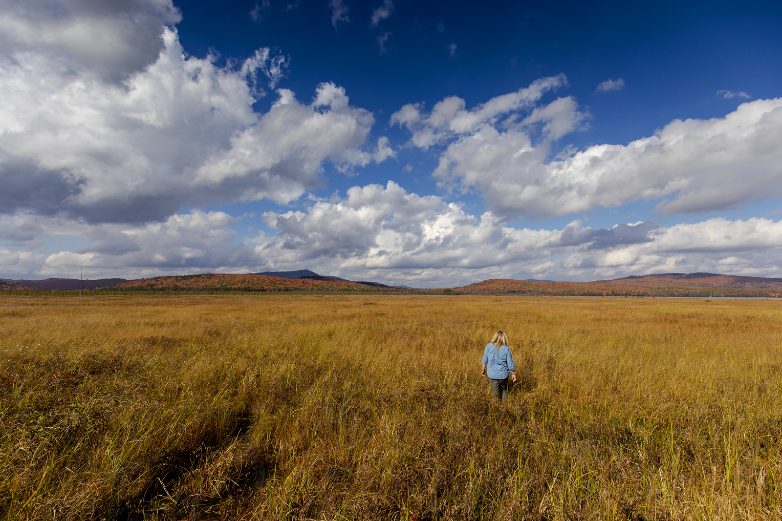 person walking in a field