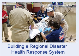 Building a Regional Disaster Health Response System