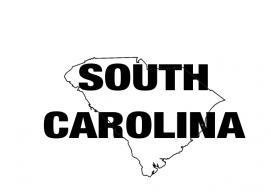 South Carolina Graphic