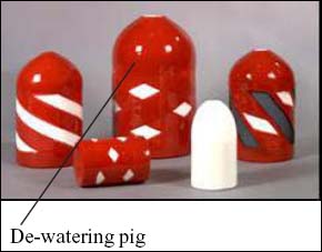 Figure 2 De-watering pig