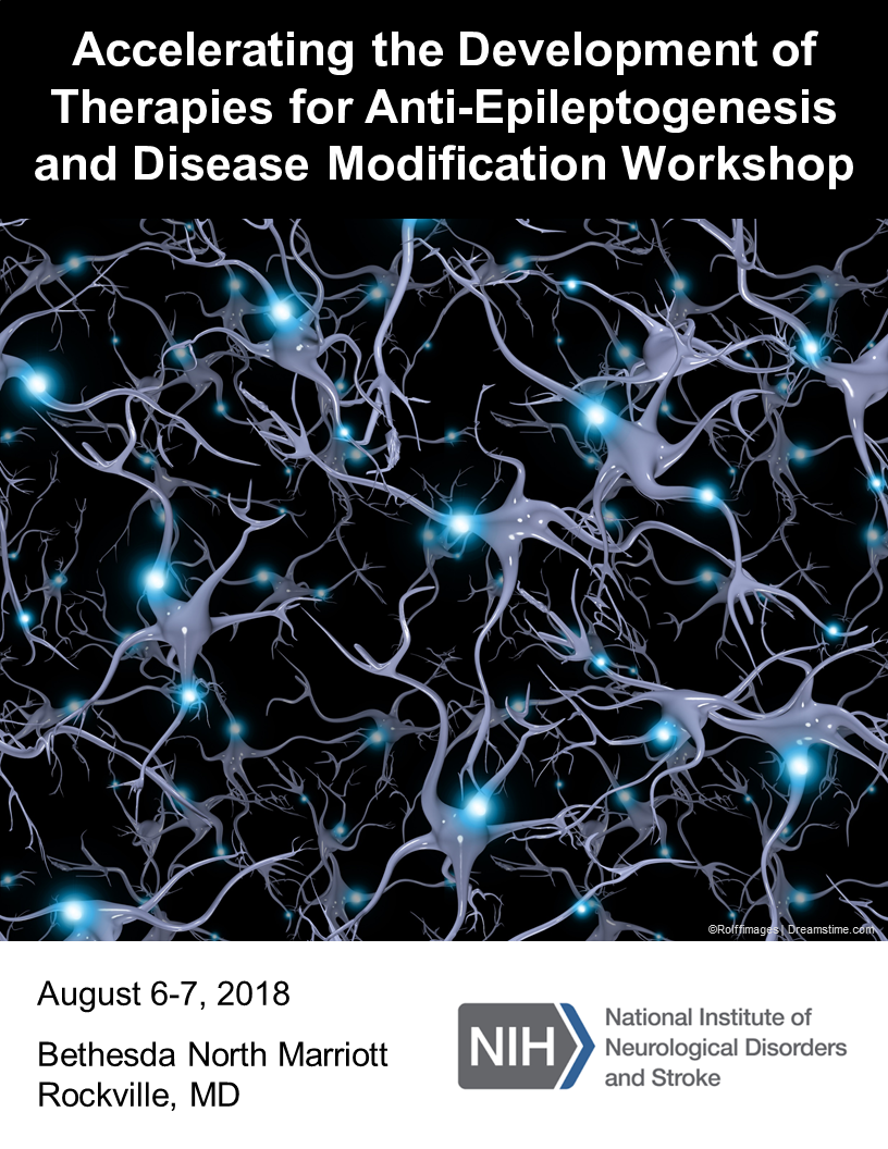 A flyer for the Accelerating the Development of Therapies for Anti-Epileptogenesis and Disease Modification Workshop.