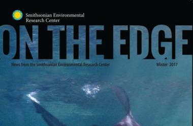 Cover of On The Edge Newsletter