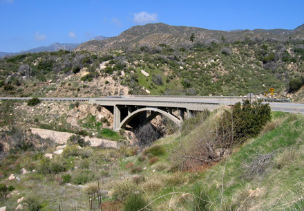 Collaboration between the Service and California Department of Transportation on a project to correct erosion damage along State Route 330 helped minimize impacts to the City Creek watershed and endangered mountain yellow-legged frog habitat. Photo credit: Sally Brown/USFWS