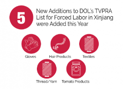 5 new additions to DOL's TVPRA list for forced labor in Xinjiang were added this year: gloves, hair products, textiles, thread/yarn and tomato products.